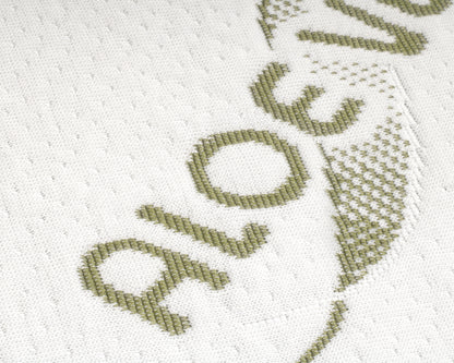 Dreamhouse Orthopedisch Aloë Vera Viscogel Kussen