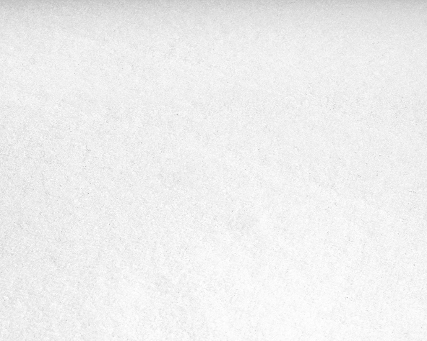 Dreamhouse Incontinentie 2pack Wit